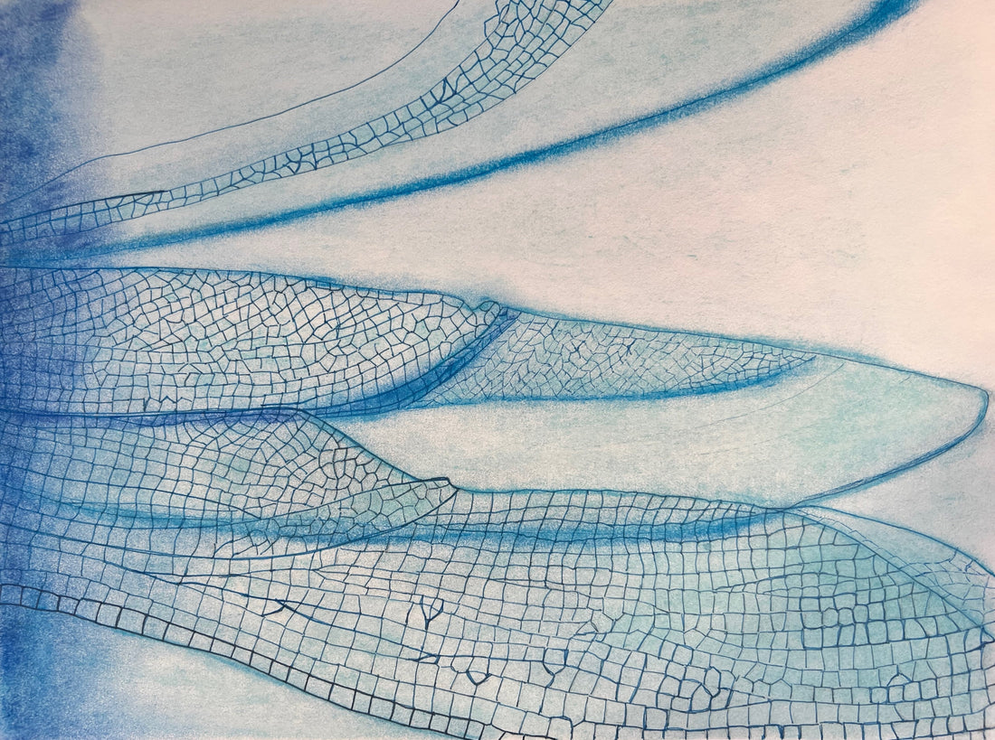 Close-up of dragonfly wings, the symbol of MyLittleFe by Marife Rosales