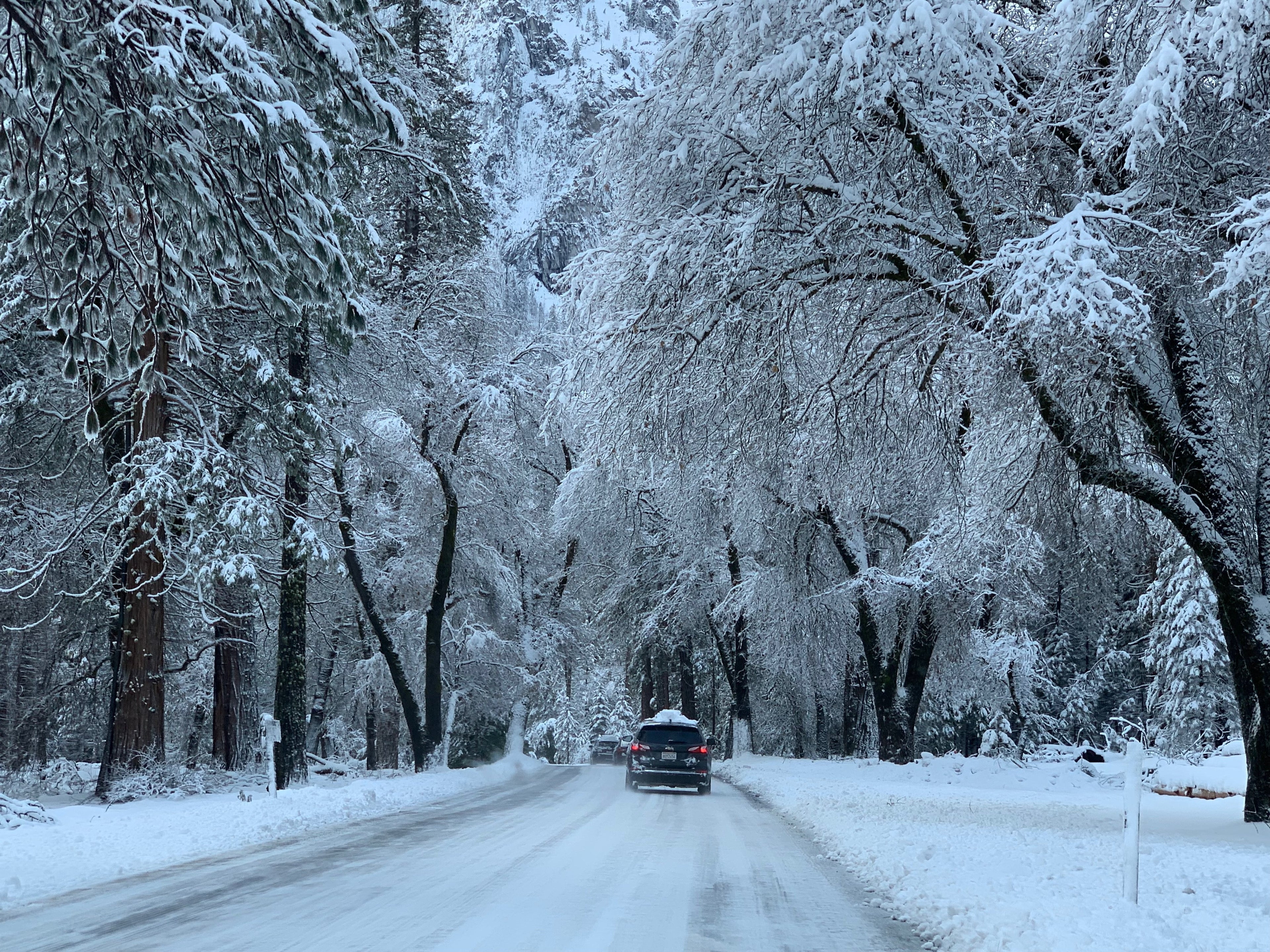 Year End Reflection - 2025