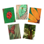 Greeting Cards, Nature Art 5-Pack