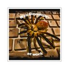Spider on a keyboard with text 'Web Developer at work' on a white background