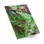 Notebook, Lady Bug Journal - Softcover