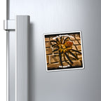 Magnet — "Web Developer at Work" Spider on Keyboard