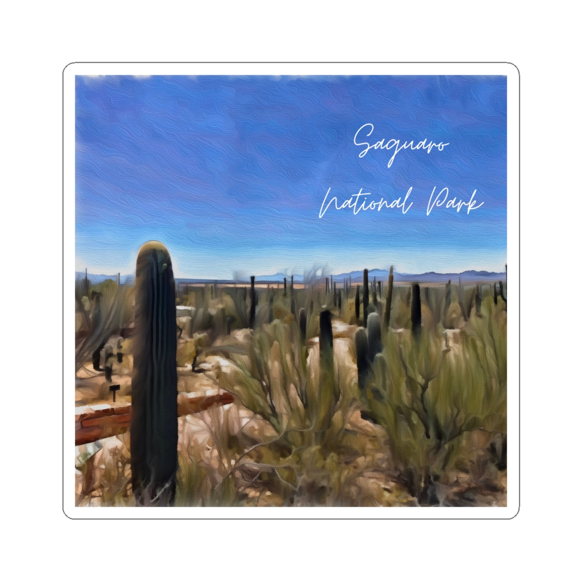 Sticker, Saguaro National Park - Kiss-cut