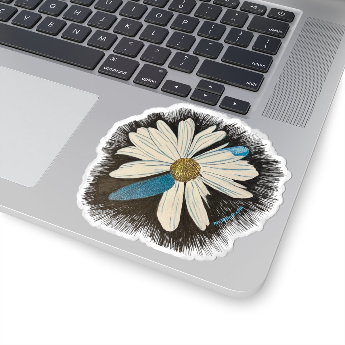 Sticker, Daisy Dragonfly Wing Petals (vinyl)