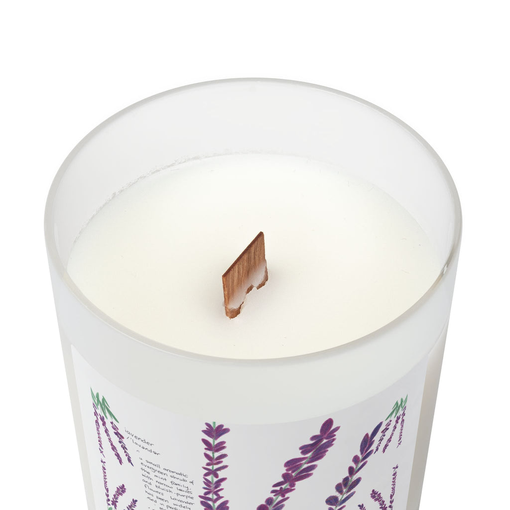 Candle, Lavender Plant Drawing — Frosted Glass | Wooden Wick