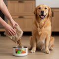 Abstract Color block designed by Marife Rosales on a pet bowl with food being put into it and a dog waiting for it