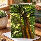 A stylized digital painting of a large tree with thick brown trunks, dense green foliage, and a bright yellow glowing light near the upper right branches.