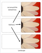 Instructions for cutting and folding a paper flower with labeled dotted lines and arrows.
