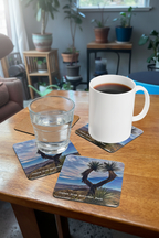 A set of square coasters with a Joshua Tree National Park landscape print, shown on a wooden table with a white mug and a glass of water.