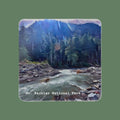 Mt Rainier National Park Coaster on a green background