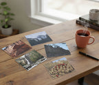 A collage of five square landscape photographs arranged on a white background: stacked rocks with wildflowers, a snowy mountain scene, a wooden fence, a waterfall in a forest, and red flowers in a grassy field.