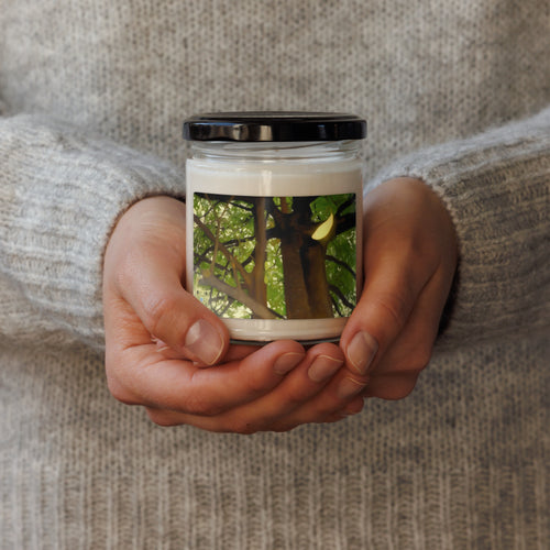 Person holding a candle with a nature-themed design