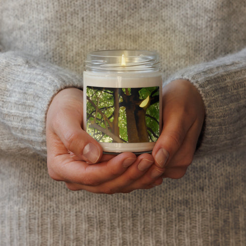 Hands holding a candle with a nature-themed design on a soft fabric background